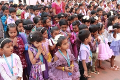 WhatsApp Image 2026-02-13 at 4.37.18 PM